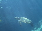 PICT0024.jpg