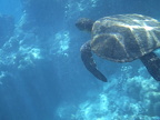 PICT0030.jpg